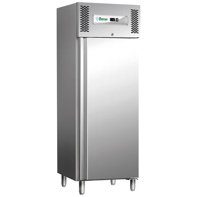forcar-professional-g-gn600bt-tiefk-hlschrank-gn-2-1-statisch image 1