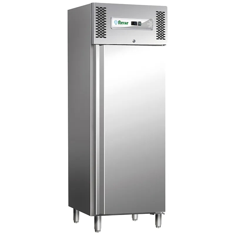 forcar-professional-line-g-gn600tn-gn-2-1-k-hlschrank-600-l image 1