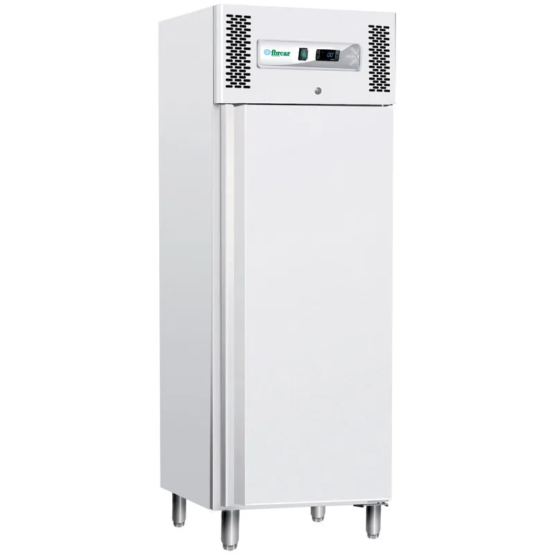 forcar-eco-line-g-gnb600bt-tiefk-hlschrank-gn2-1-edelstahl image 1