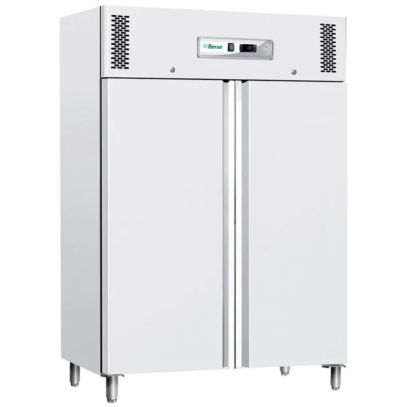 forcar-g-gnb1200bt-k-hlschrank-gn-2-1-eco-line-statisch image 1