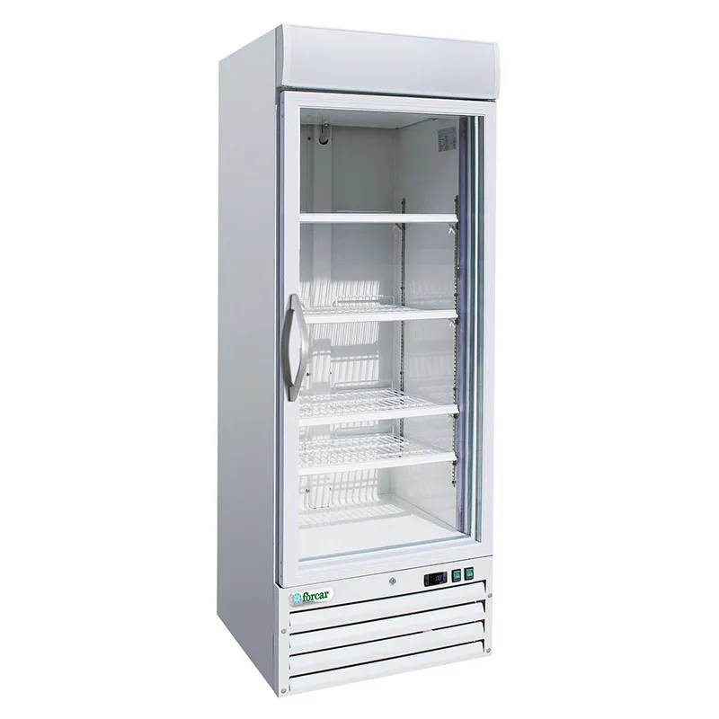 forcar-g-snack420btg-glass-line-glast-r-gefrierschrank image 1