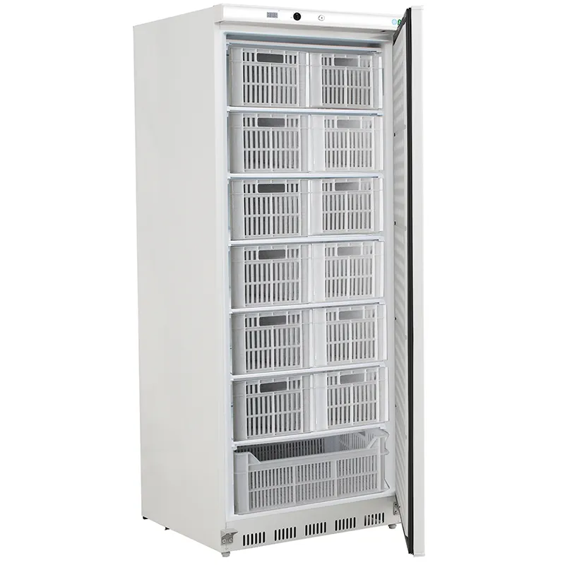 forcar-g-ef600cas-gewerbek-hlschrank-statisch-eco-line image 1
